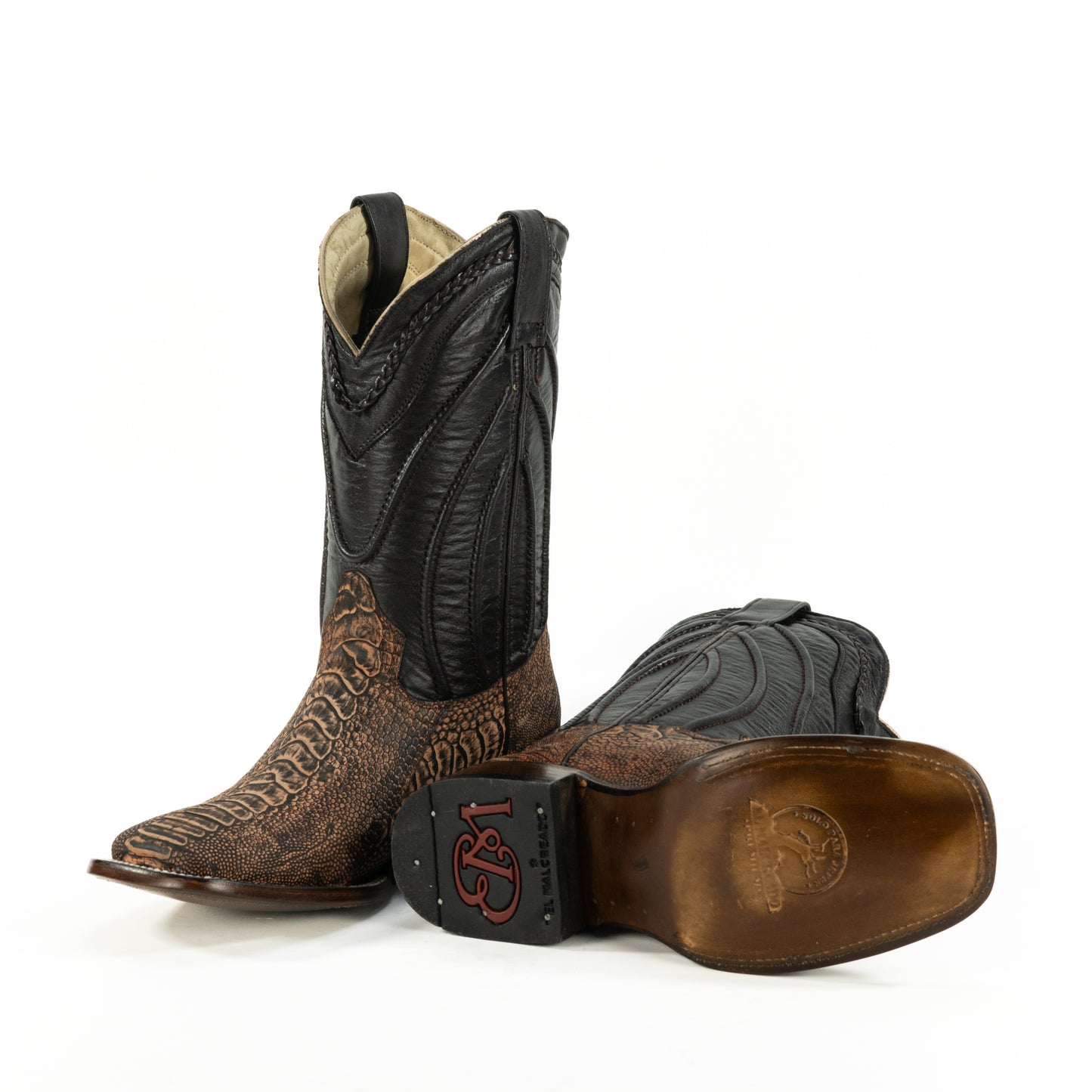 PREMIUM PATA DE AVE PETROLEO