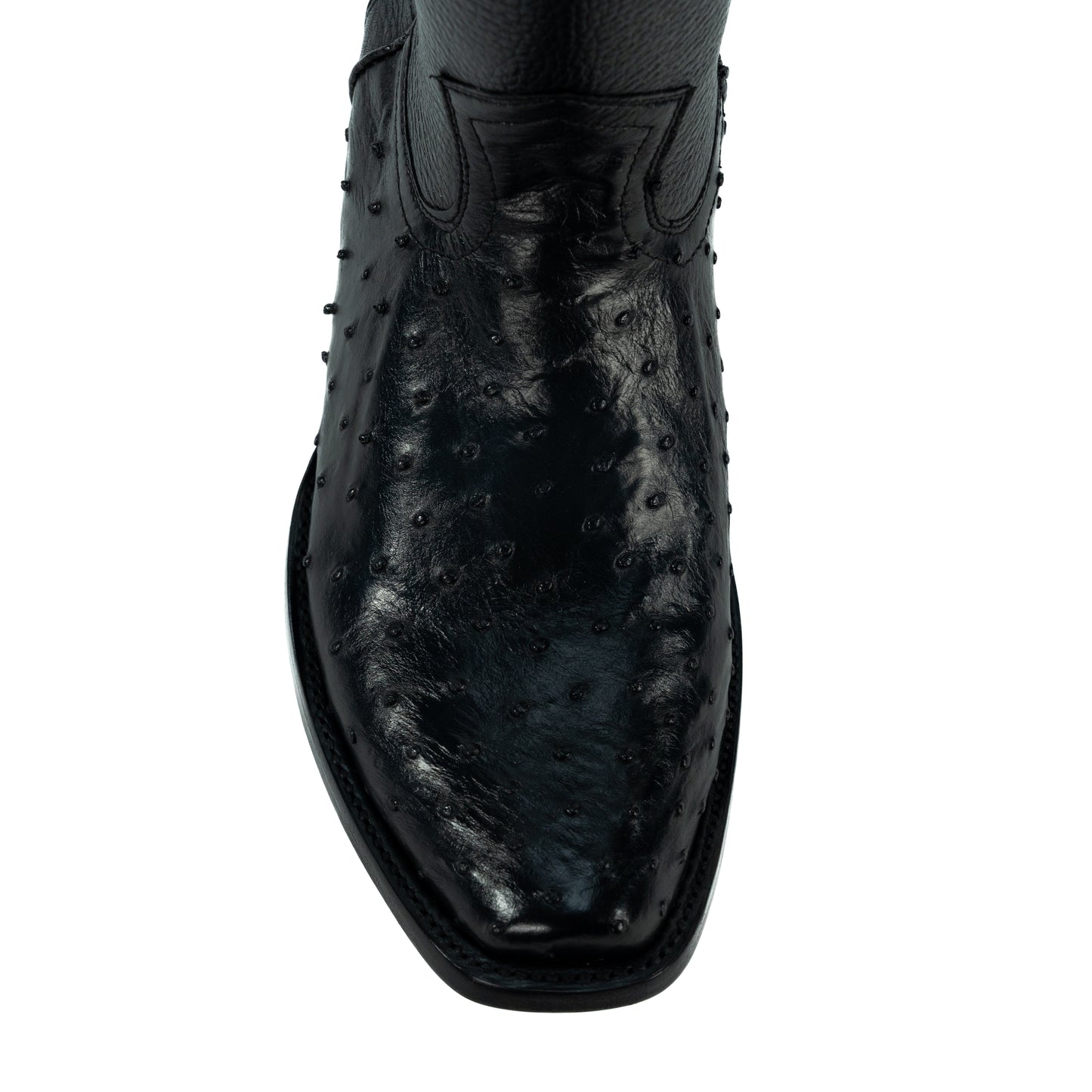 DILAN AVEZTRUZ NEGRO