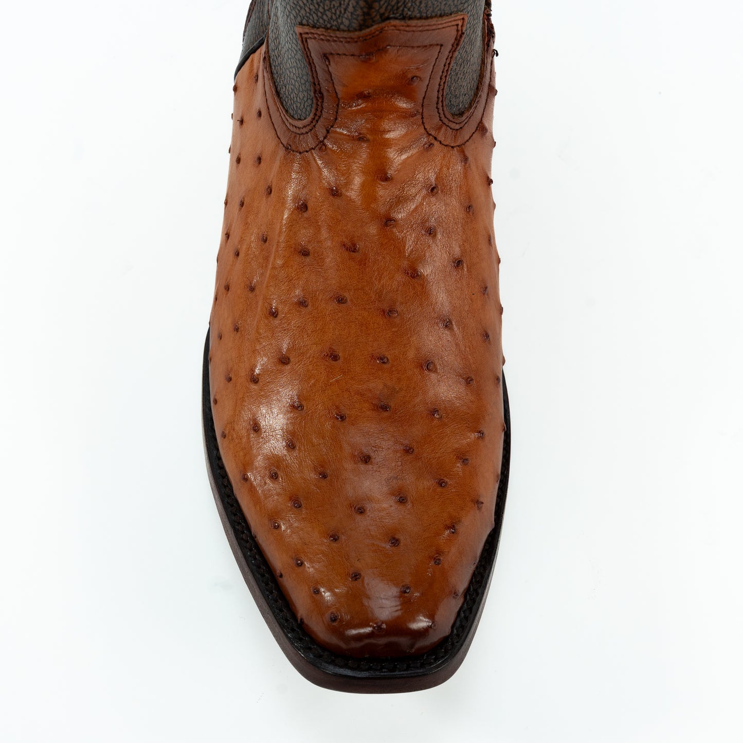 DILAN AVEZTRUZ COÑAC