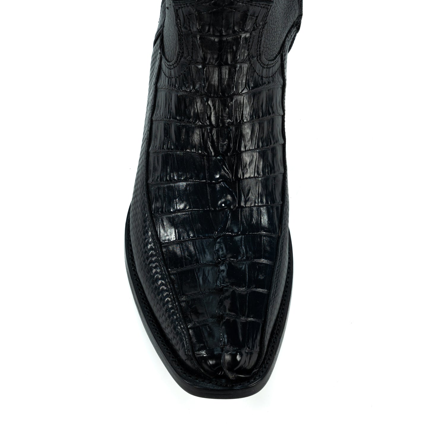 ORION COCODRILO COLA NEGRO