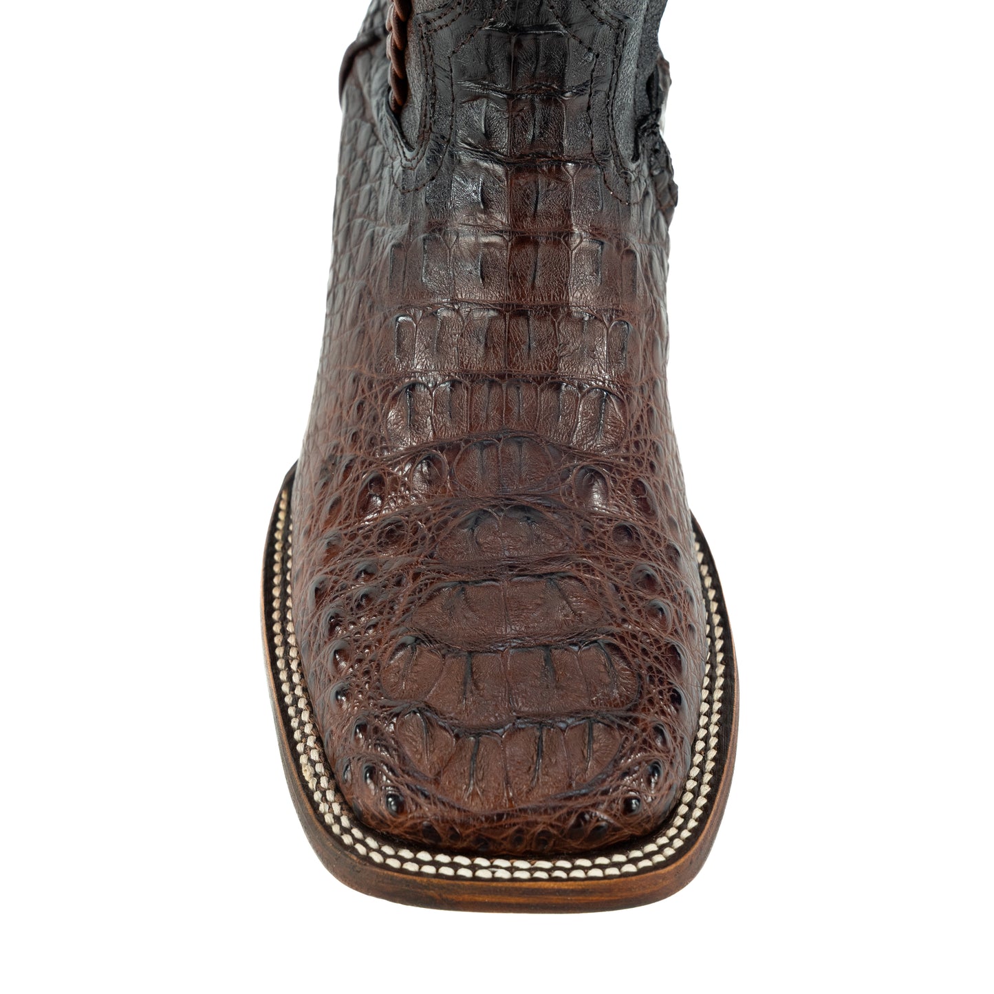 MAURO PREMIUM COCODRILO NUCA CAFE