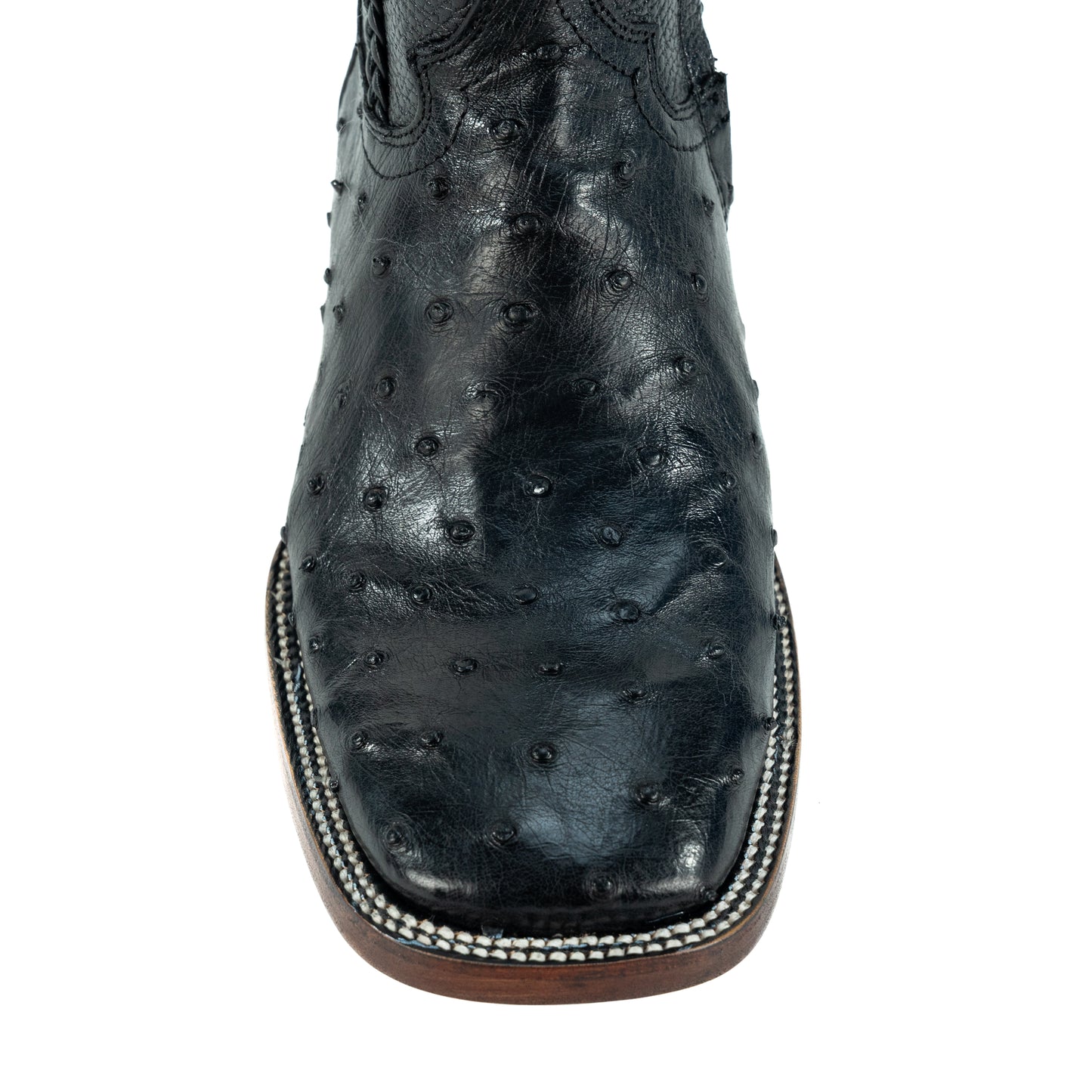 MAURO PREMIUM AVEZTRUZ NEGRO