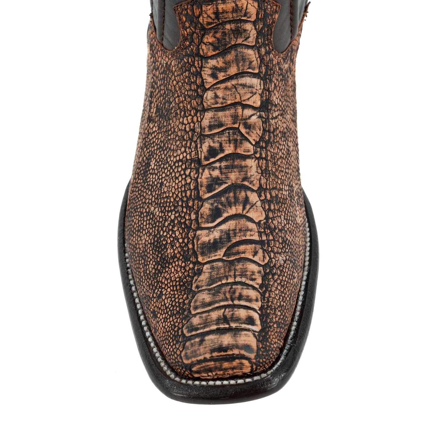 PREMIUM PATA DE AVEZTRUZ PETROLEO DUBAY