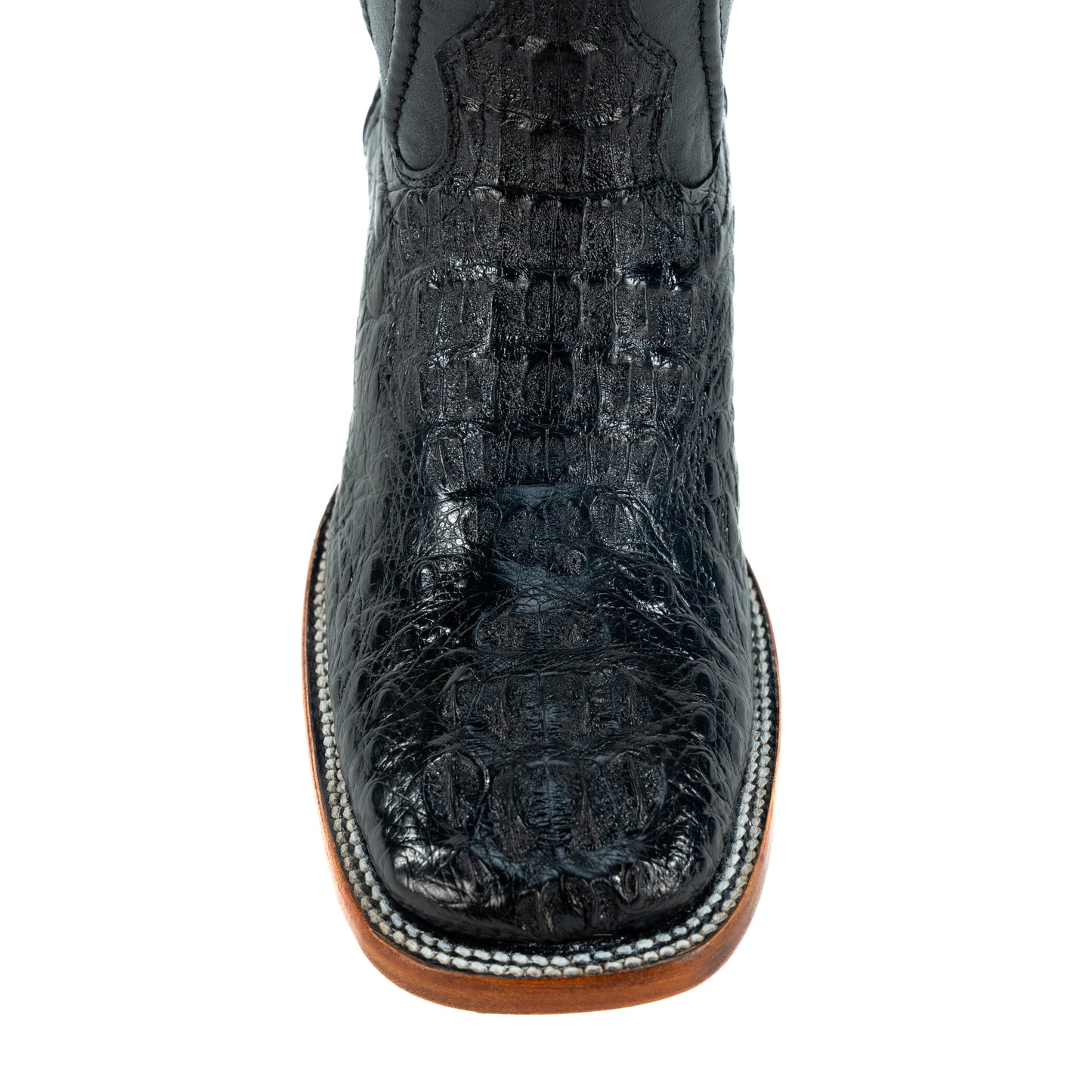 PREMIUM COCODRILO NUCA BULLDOG