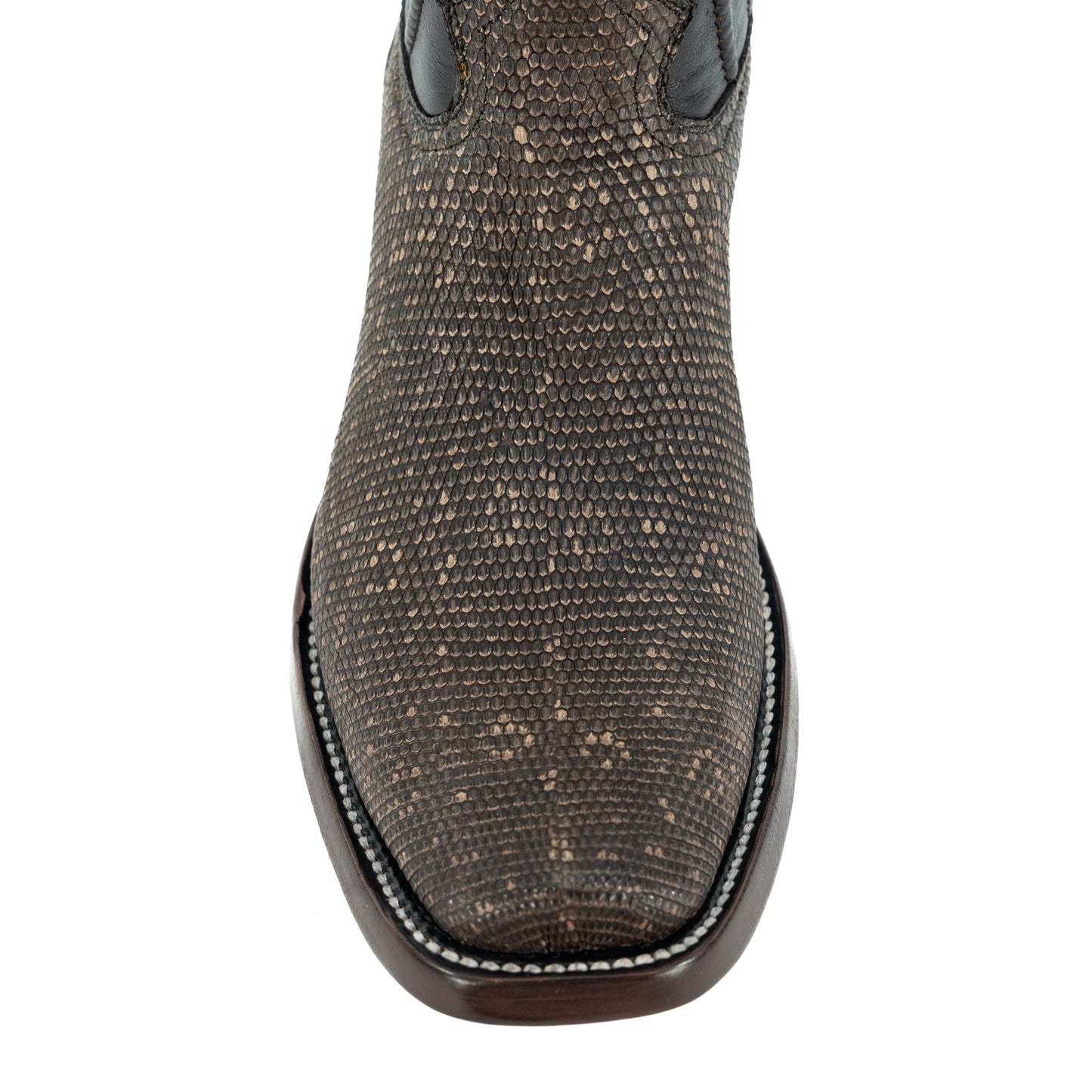 PREMIUM DUBAY LIZZARD AROS CAFE