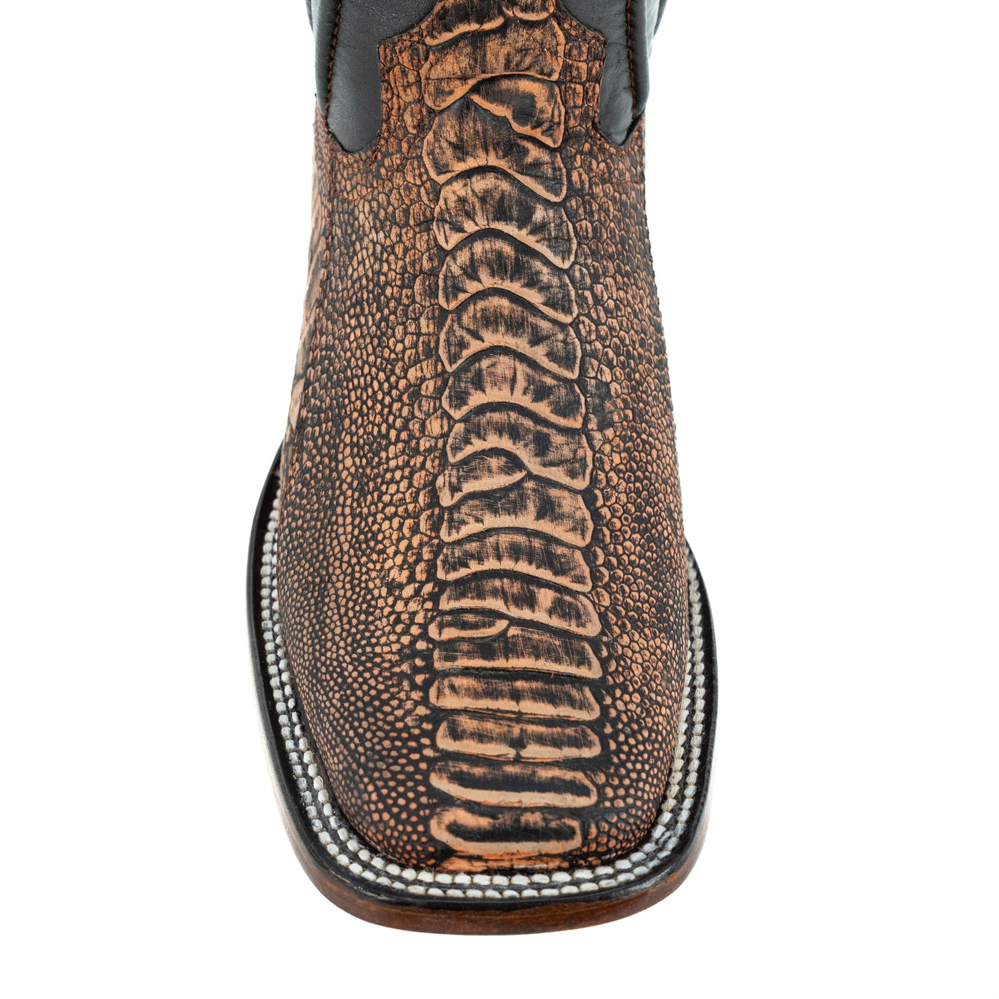 PREMIUM PATA DE AVE PETROLEO