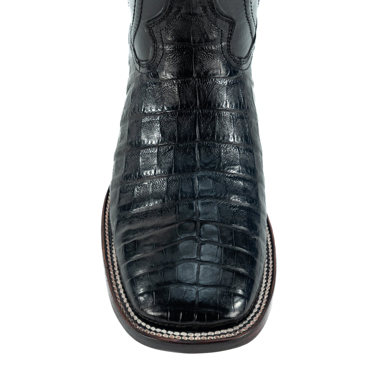 PREMIUM COCO PANSA BULLDOG