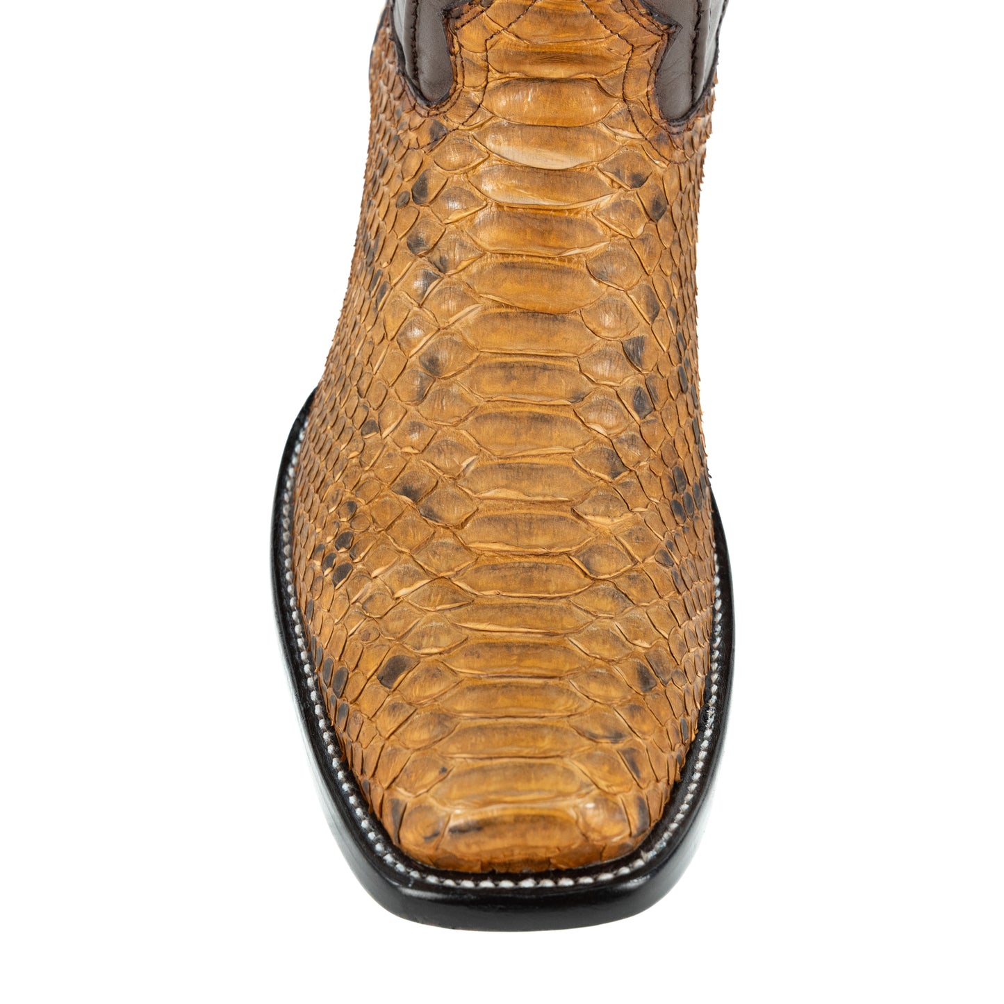 PREMIUM DUBAY PITON TAUPE