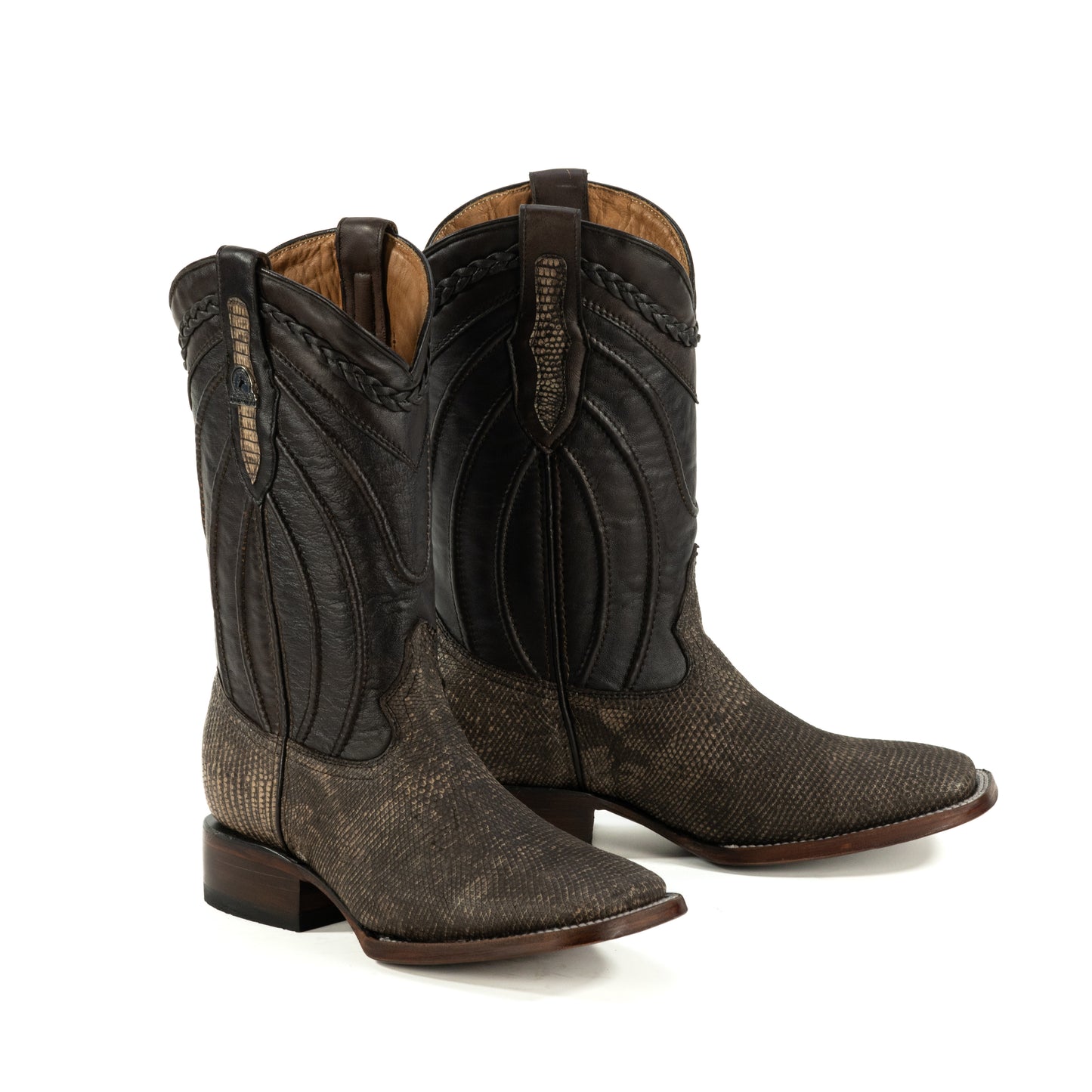 PREMIUM LIZZARD AROS CAFE