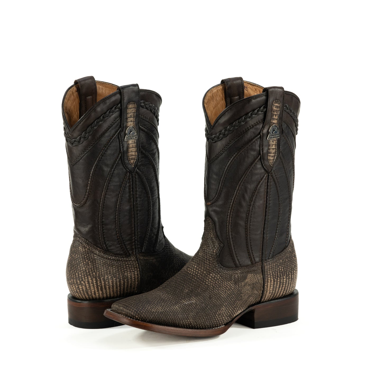 PREMIUM LIZZARD AROS CAFE