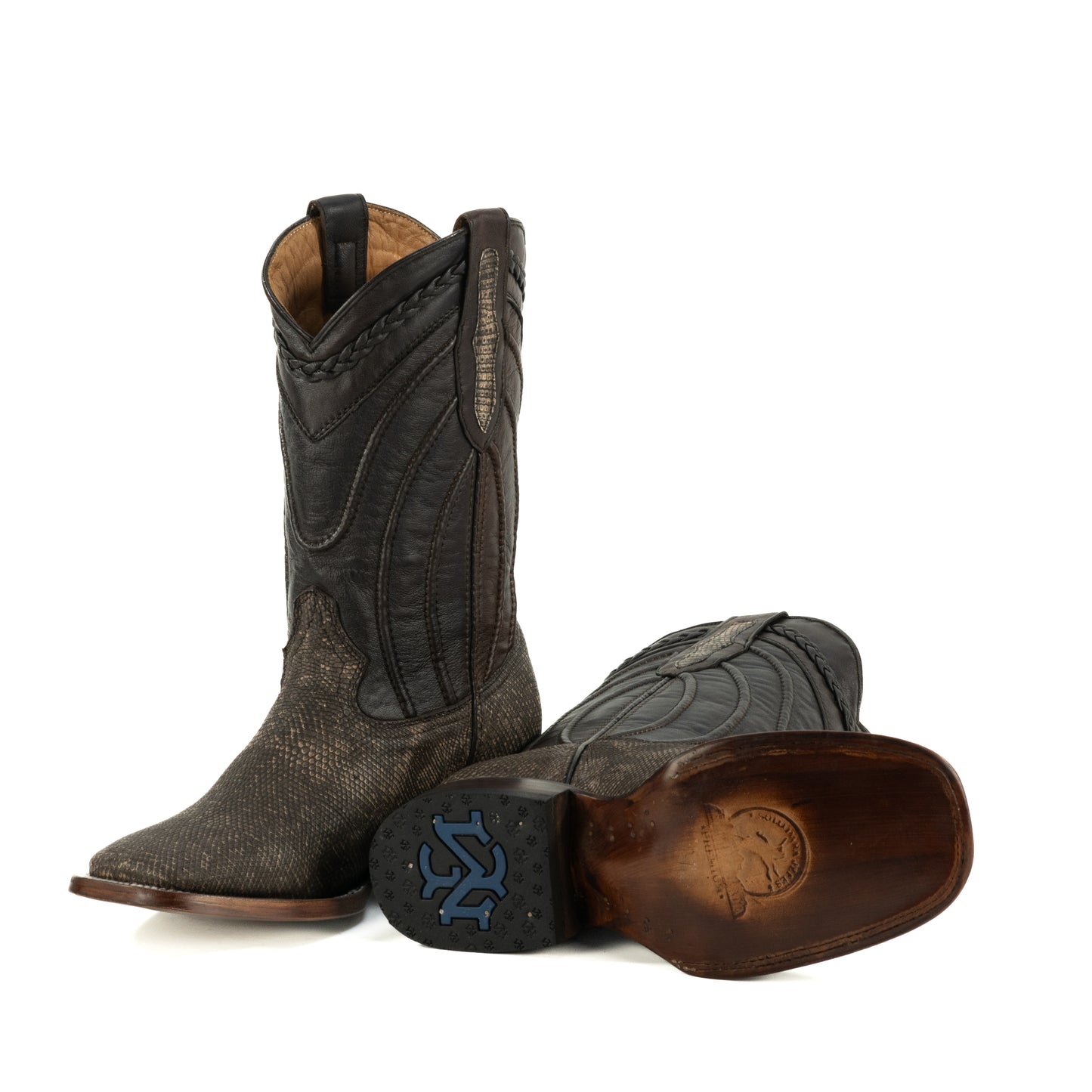 PREMIUM LIZZARD AROS CAFE