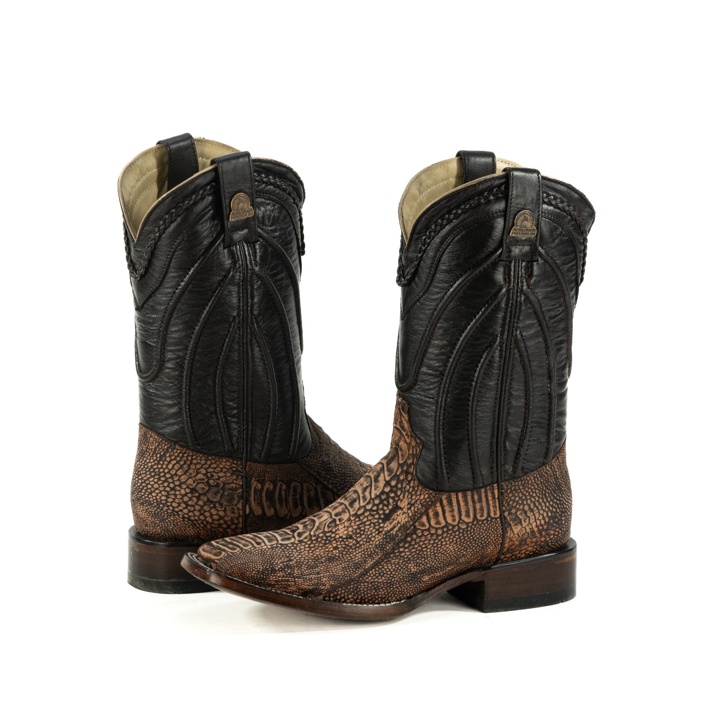 PREMIUM PATA DE AVE PETROLEO